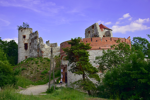 Rudno - ruiny zamku Tenczyn.