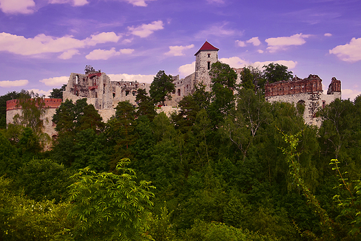 Rudno - ruiny zamku Tenczyn.