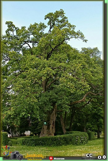 Muzeum Hymnu Narodowego..park koo dworku Wybickiego,