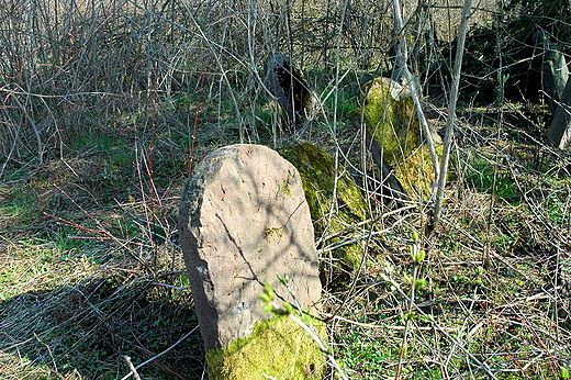 Maogoszcz - na kirkucie