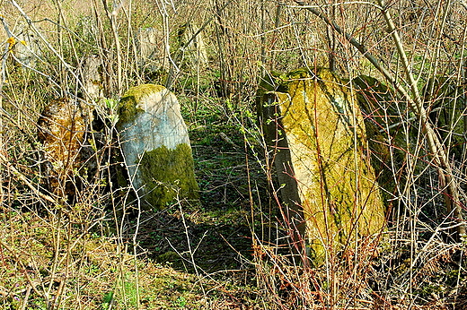 Maogoszcz zapomniana pami