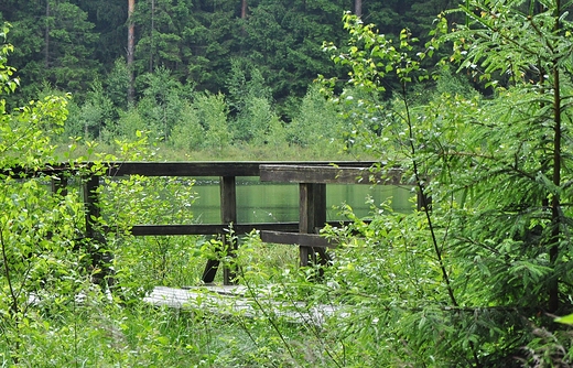 Pomost nad Sucharem Rzepiskowym