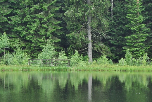 Pomost nad Sucharem Rzepiskowym