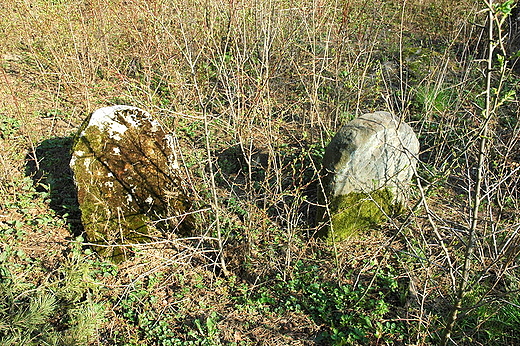 Maogoszcz  stary kirkut