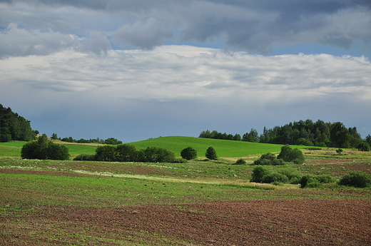 Podgodapskie pola