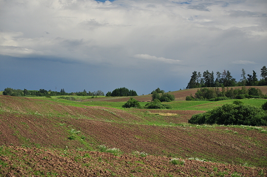 Podgodapskie pola