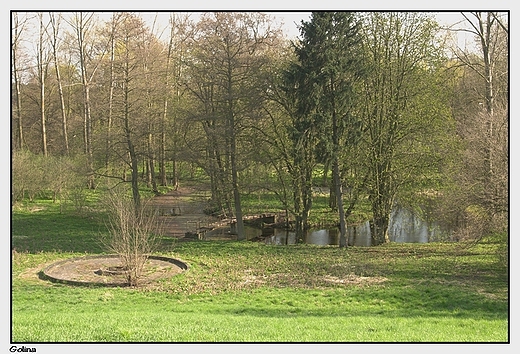 Golina - dworski park krajobrazowy, widok ze skarpy na wysp