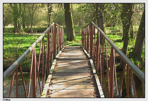 Golina - dworski park krajobrazowy, most prowadzcy na wysp