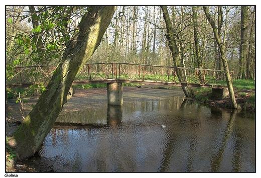 Golina - dworski park krajobrazowy, fosa okalajca wysp