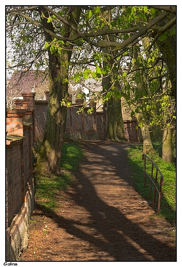 Golina - dworski park krajobrazowy, fragment murowanego ogrodzenia