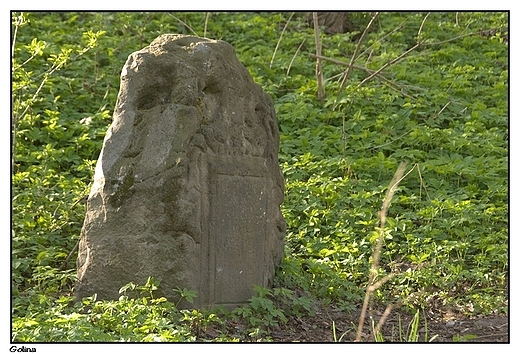 Golina - dworski park krajobrazowy, legendarny kamie