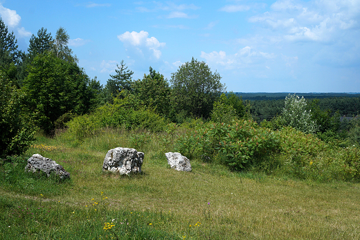 Krajobraz z okolic Rzdkowic.