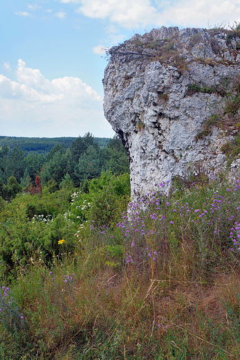 Skaki Rzdkowickie