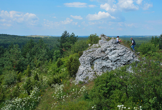 Skaki Rzdkowickie