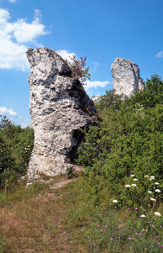 Skaki Rzdkowickie