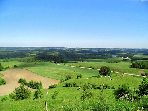 Widok z Gry Cisowej. Suwalski Park Krajobrazowy