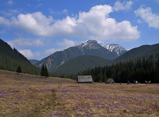 Tatry. Dolina Chochoowska. Widok na Kominiarski Wierch z Polany Chochoowskiej.