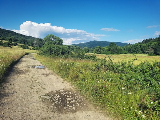 Dolina Wisoki w okolicach Nieznajowej. Beskid Niski