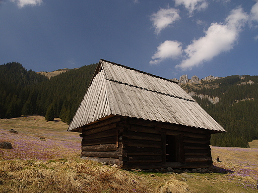 Tatry. Dolina Chochoowska. Jedna z wielu bacwek na Polanie Chochoowskiej.