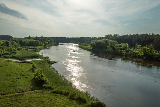 Narew