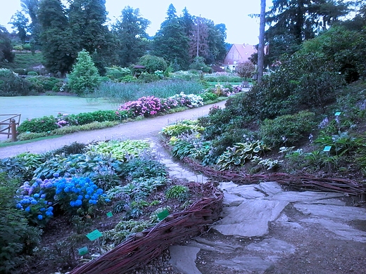 arboretum wojsawice