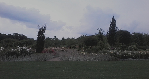 arboretum wojsawice