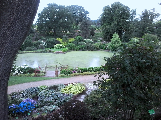 arboretum wojsawice