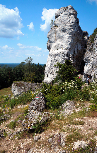 Rezerwat Gra Zborw.