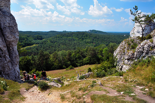 Rezerwat Gra Zborw.