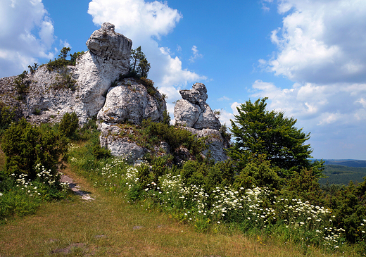 Rezerwat Gra Zborw.