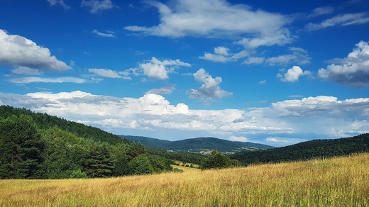 Ropki - jedna z ostatnich dzikich dolin Beskidu Niskiego. Widok w kierunku Haczowej