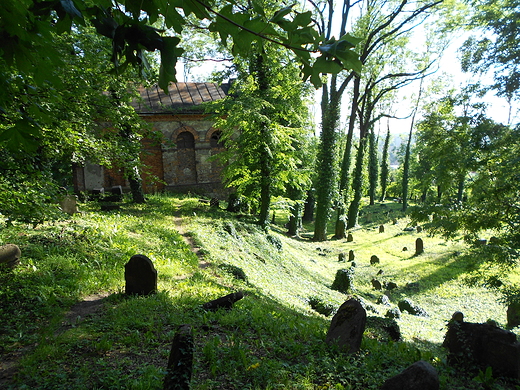 Stary cmentarz ydowski