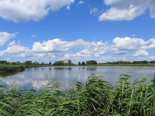 System staww melioracyjnych na rzece Mienia