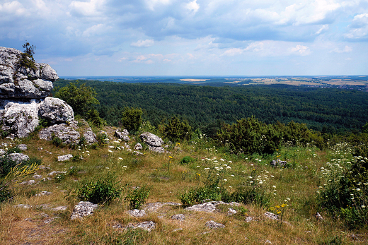 Rezerwat Gra Zborw.