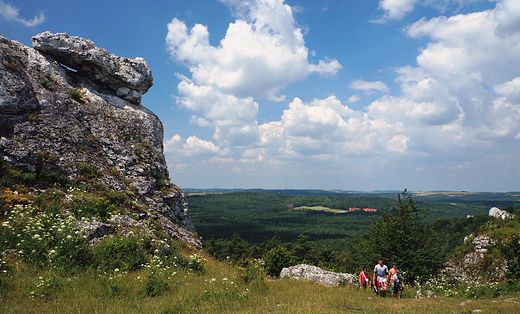 Rezerwat Gra Zborw.