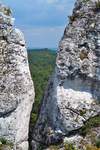 Rezerwat Gra Zborw.