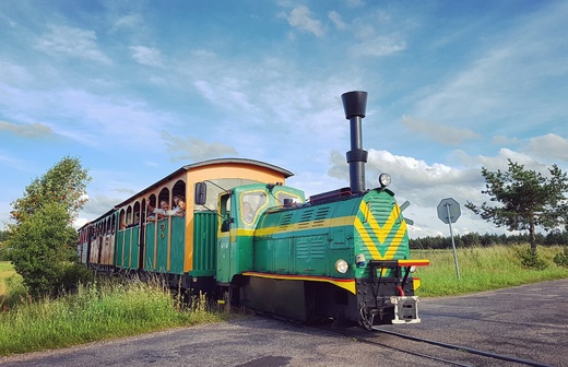 Wigierek na szlaku pomidzy Krusznikiem a Pocicznem. Wigierski Park Narodowy