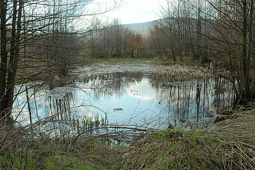 wita Katarzyna - uroczysko Czarny Las