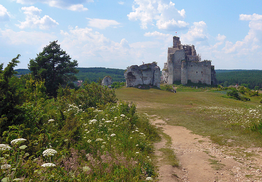 Ruiny zamku w Mirowie-widok ogólny.