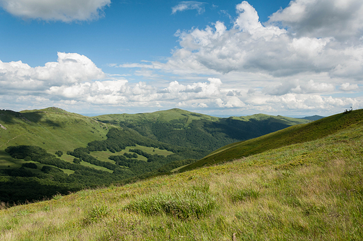 Krzemieniec, Kopa Bukowska, Halicz, Rozsypaniec