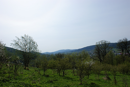 Dolina Jasionki