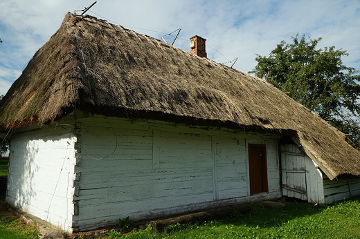 Lipce Reymontowskie-Muzeum Regionalne im.W.St,Reymonta