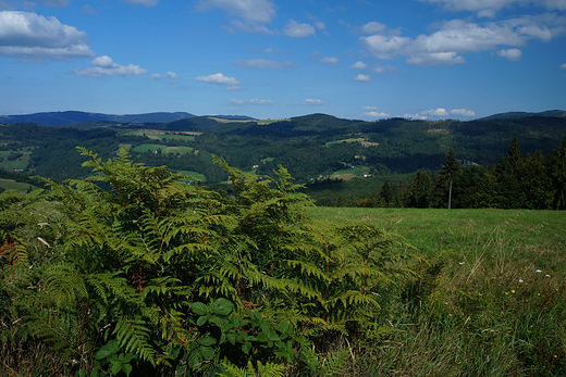 Widoki ze szlaku Salmopol-Trzy Kopce Wilaskie na Beskid lski.