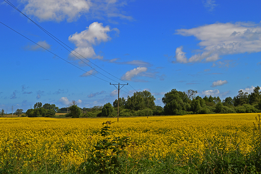 Dusin - krajobraz szczeciski