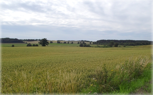 Na trasie rowerowej Krokowa - Swarzewo