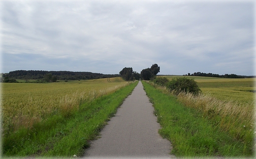 Na trasie rowerowej Krokowa - Swarzewo