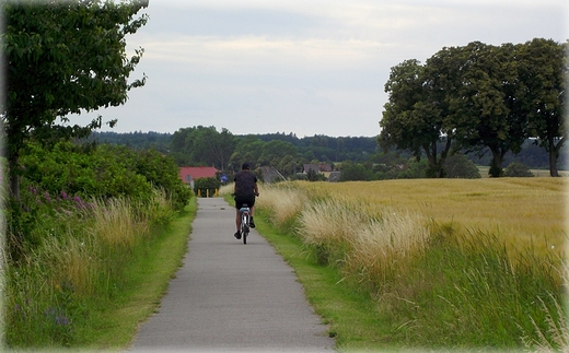 Na trasie rowerowej Krokowa - Swarzewo