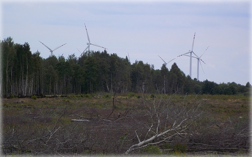 Na trasie rowerowej Krokowa - Swarzewo