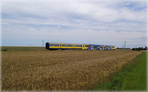 Na trasie rowerowej Krokowa - Swarzewo