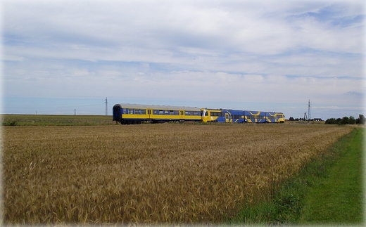 Na trasie rowerowej Krokowa - Swarzewo